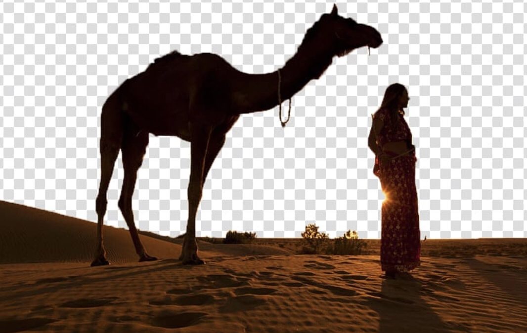 ( سلام )