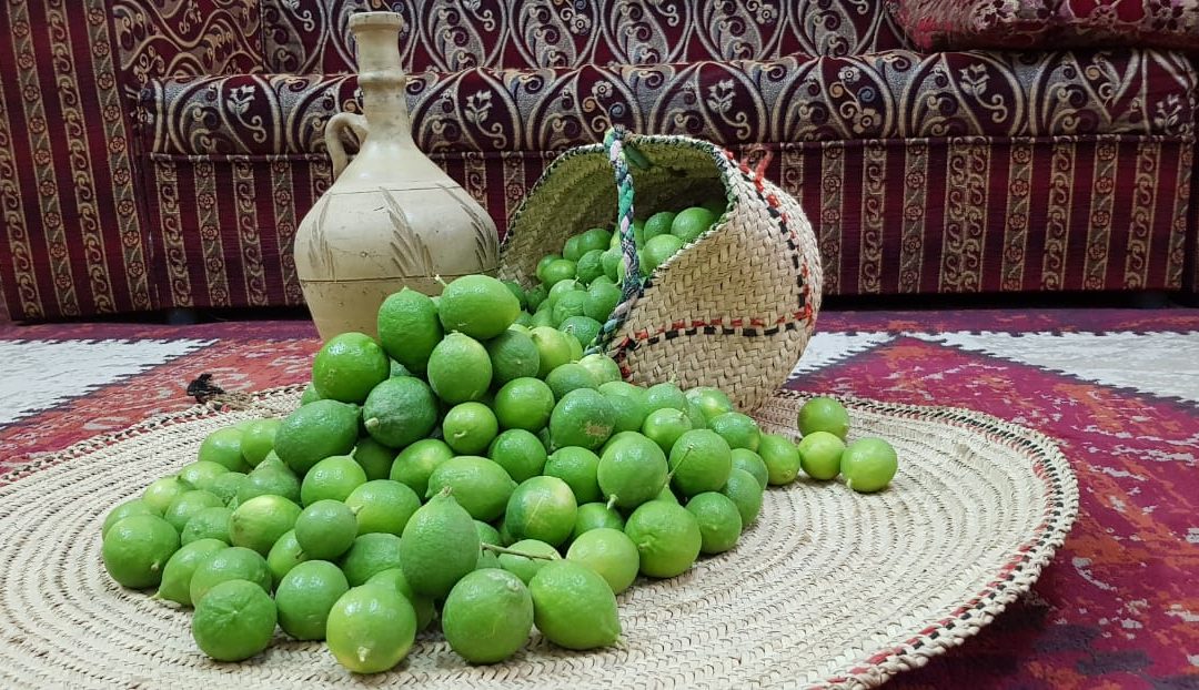 بدء موسم ليمون البنزهير في محافظة وادي الدواسر