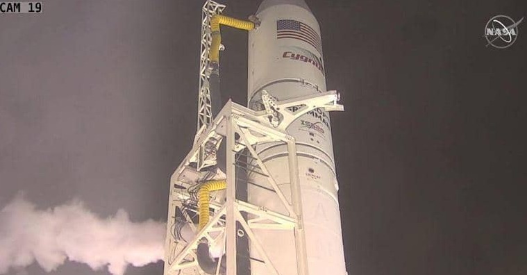 فجل ولحوم وأسماك وأجبان وخضراوات وفواكه.. إلى الفضاء