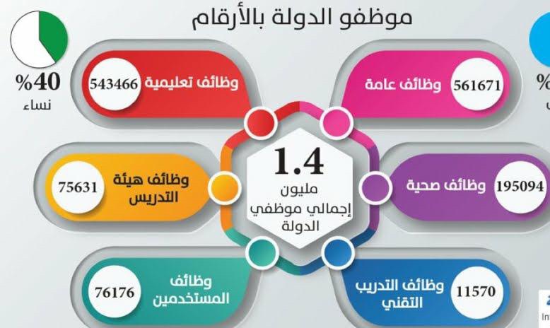 ضوابط للتأكد من دقة الرواتب والبدلات لموظفي الدولة