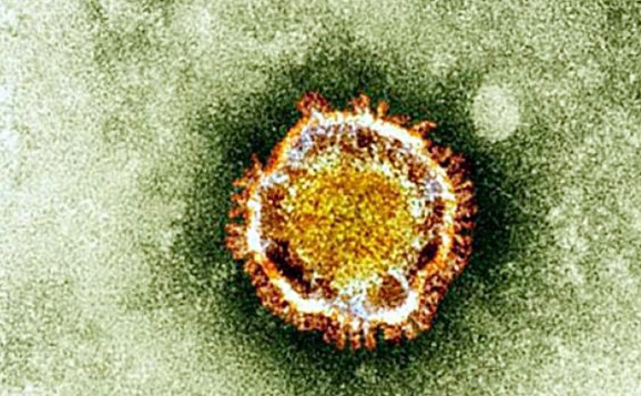 نيويورك تايمز: الاستخبارات الأمريكية لديها معلومات عن منشأ فيروس كورونا