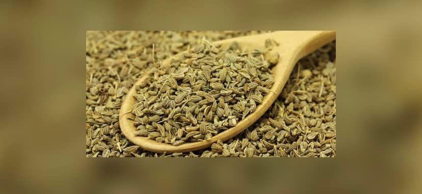 الغذاء والدواء: «اليانسون» يعزز صحة الجهاز التنفسي وعلاج مساهم للربو والسعال