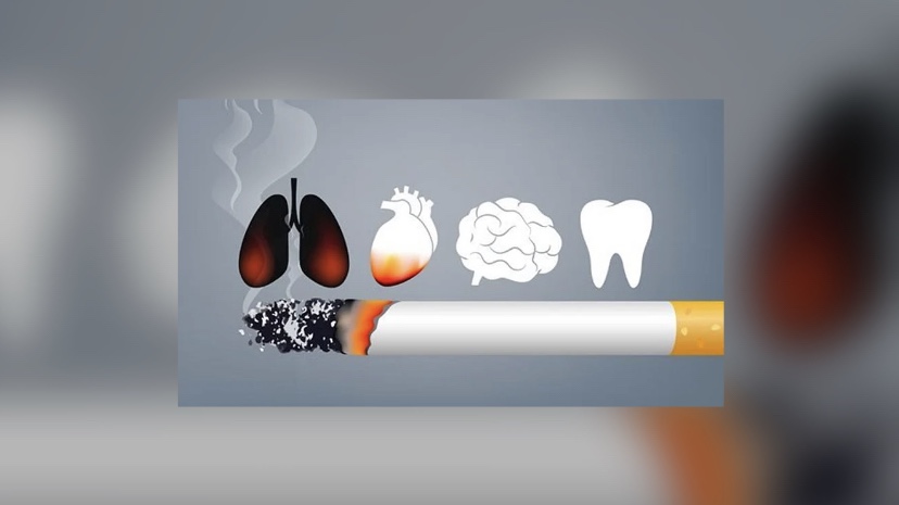 استشاري: قرابة 6 ملايين مدخن نشط في السعودية ينفقون 21 مليار دولار سنويًّا على التدخين