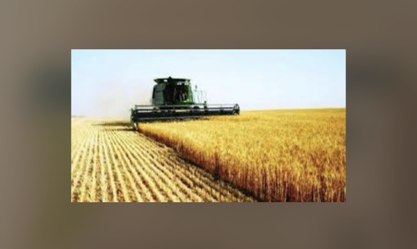 “سلة خبز العالم” تدق جرس الإنذار.. أوكرانيا تحظر تصدير القمح
