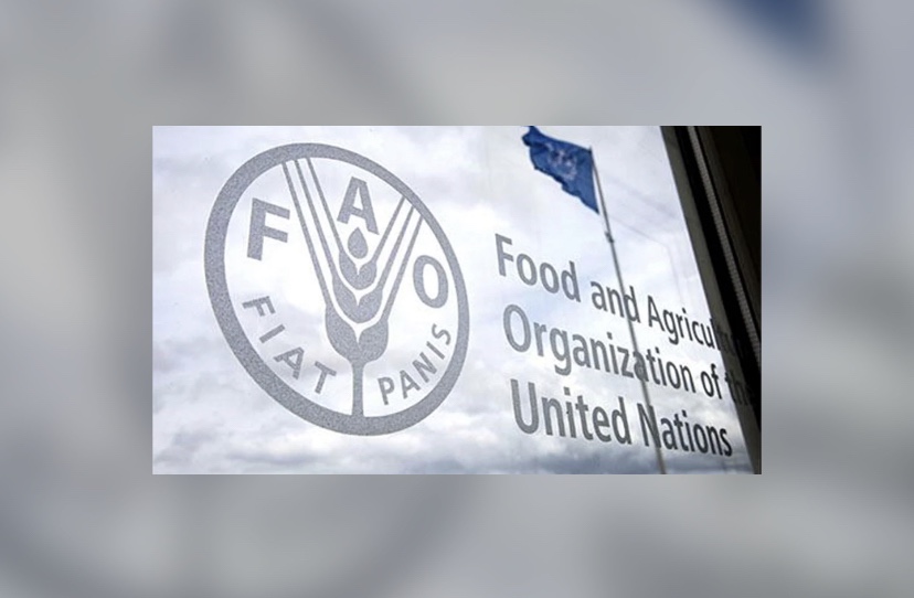 فاو: 42 مليون شخص يعانون انعدام الأمن الغذائي في غرب إفريقيا والساحل