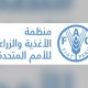ارتفاع أسعار الغذاء العالمية إلى أعلى مستوياتها منذ عام 2022
