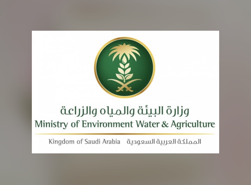 “البن السعودي عبق التاريخ ورؤية وطن”.. احتفاء رسمي في جازان يدعم المزارعين
