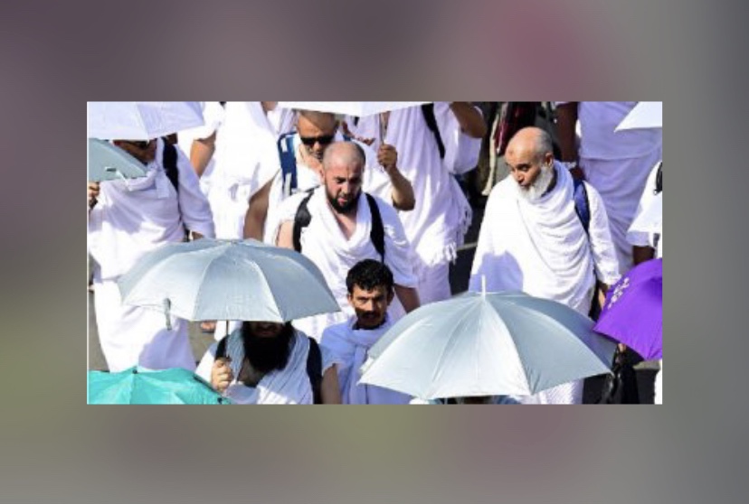 أكثر من 140 رحلة سيرها قطار الحرمين من ⁧‫مكة‬⁩ إلى ⁧‫جدة‬⁩ والمدينة لنقل الحجاج بعد أداء المناسك