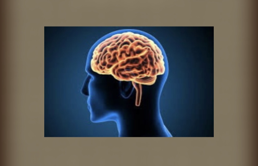 لتقوية صحة الدماغ.. طبيب أعصاب يوصى بتناول الأسماك والمكسرات
