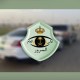 المرور: خدمة بطاقة عرض مركبة تمكّن المستفيد من عرض بيانات المركبات بكل يسر