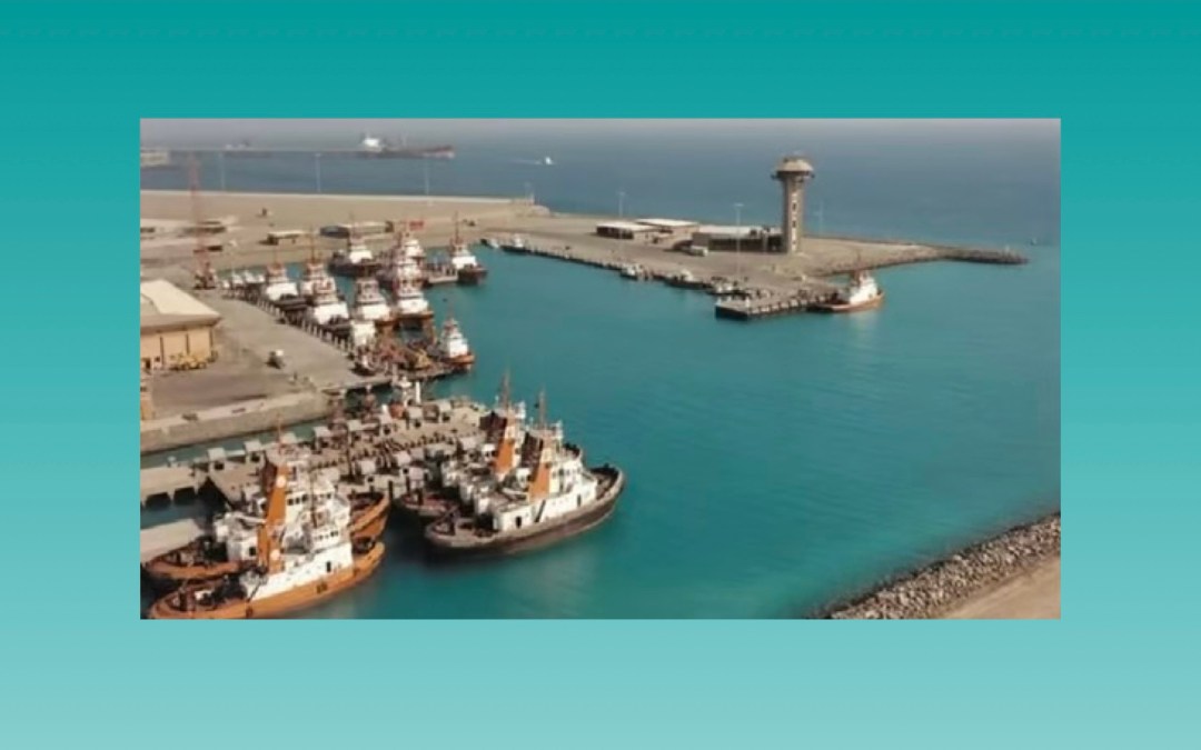 ميناء ينبع الصناعي يستقبل أول سفينة لشحن السيارات منذ إنشائه