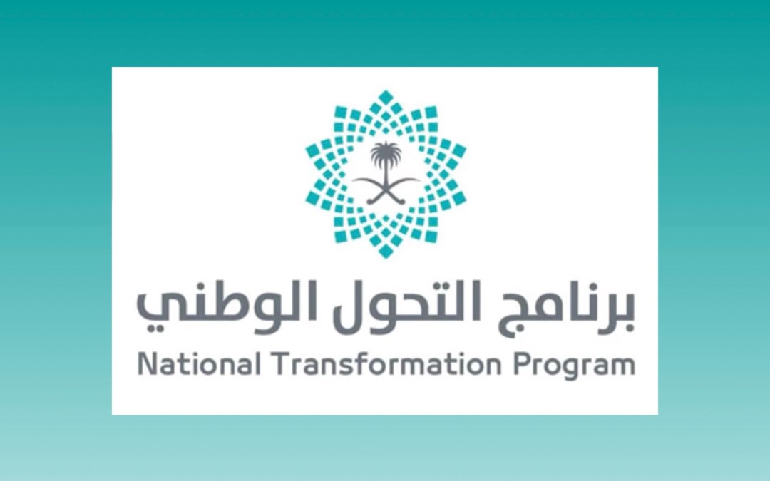 300 مبادرة تقودها 7 وزارات و 50 جهة