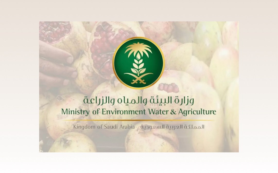 “البيئة” تحصد ذهبية وفضيتين في حفل توزيع جوائز “ستيفي” العالمية للابتكار