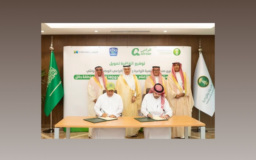 صندوق التنمية الزراعية يوقع اتفاقية تمويل مشروع تربية أغنام لتحقيق معايير الاستدامة في القطاع