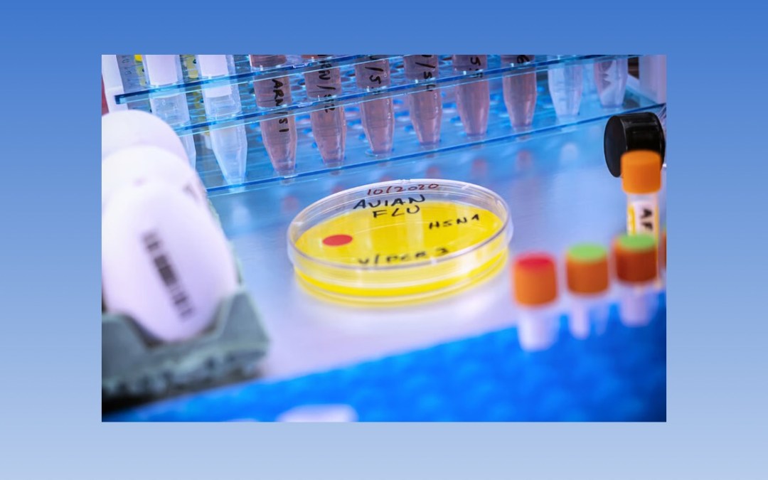 أول إصابة بشرية بسلالة H5N5 من إنفلونزا الطيور تُسجَّل في أمريكا