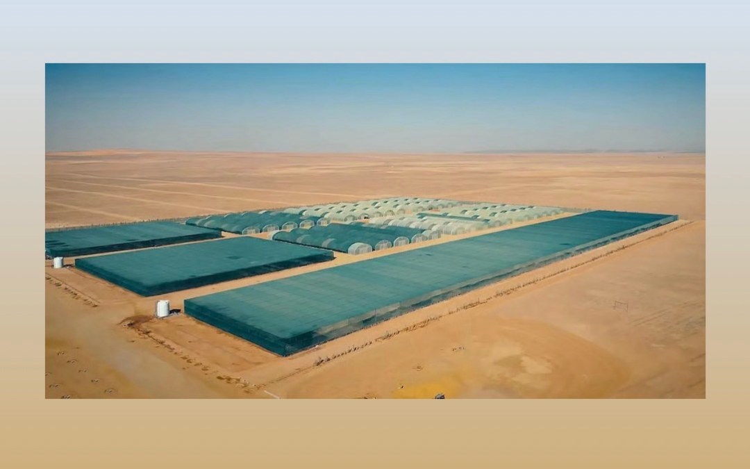 الأمير عبدالعزيز بن سعود يدشّن المشتل المركزي ومحطة البذور البرية في محمية الملك سلمان