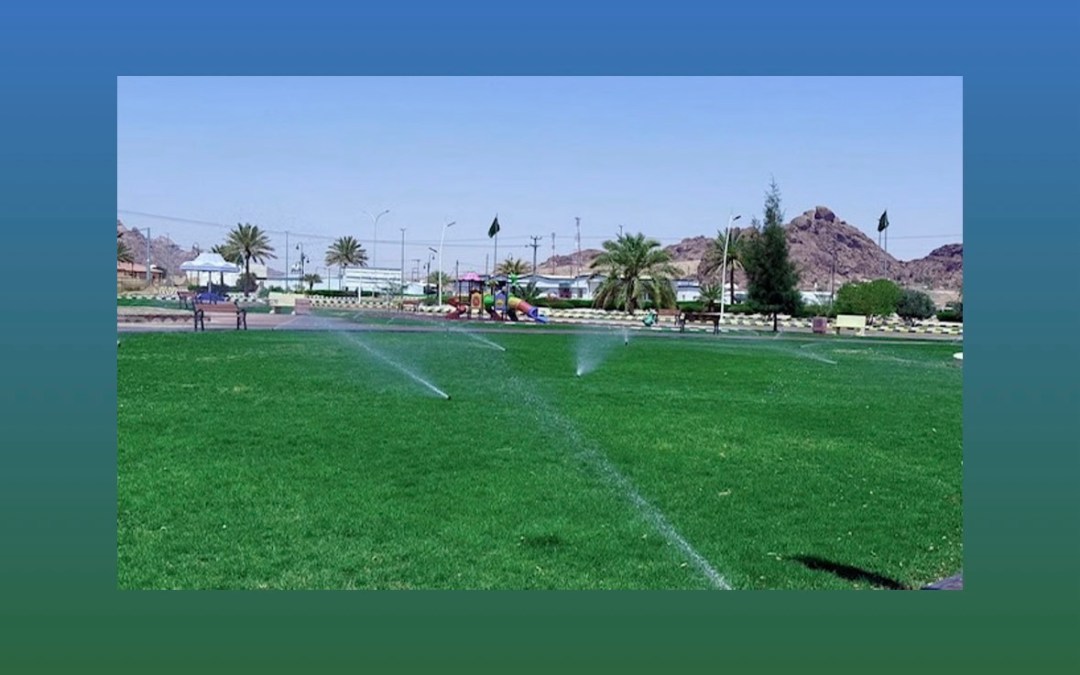 حائل تحصد جائزة المدينة العربية الخضراءجائزة المدينة العربية الخضراء
