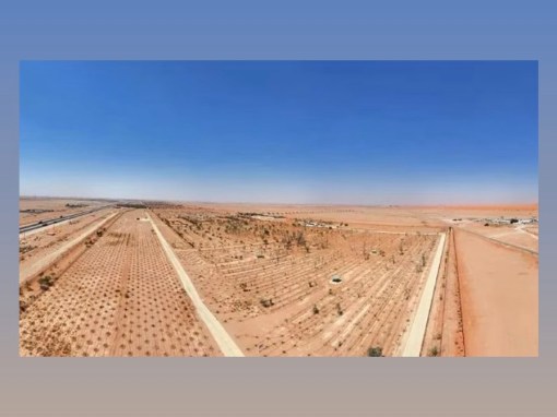 “الغطاء النباتي” يوقع عقودًا لتطوير 3 متنزهات وطنية في منطقتي الرياض والحدود الشمالية
