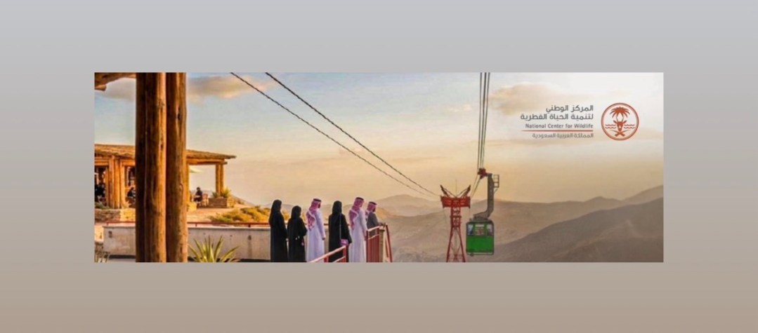 “الحياة الفطرية” يعلن حزمة مشاريع لدعم السياحة البيئية وتضم وجهات سفاري ومناطق لمراقبة الطيور