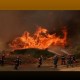 أكبر حريق غابات في بلجيكا يتجه صوب ألمانيا
