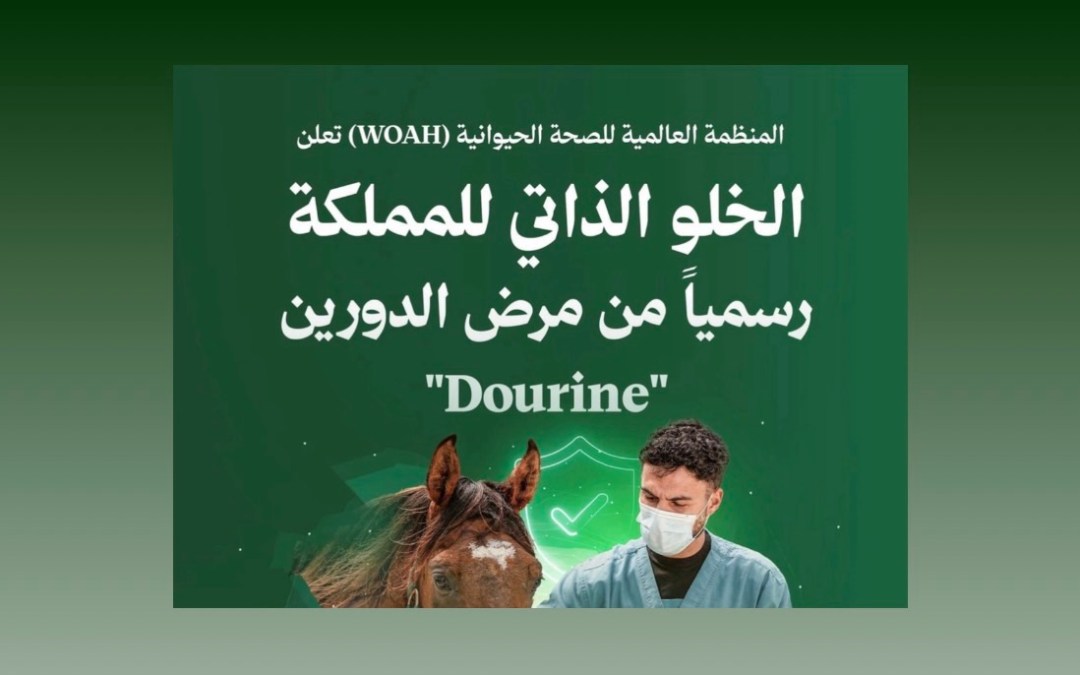 المنظمة العالمية للصحة الحيوانية تعتمد خلو المملكة من مرض الدورين في الخيول